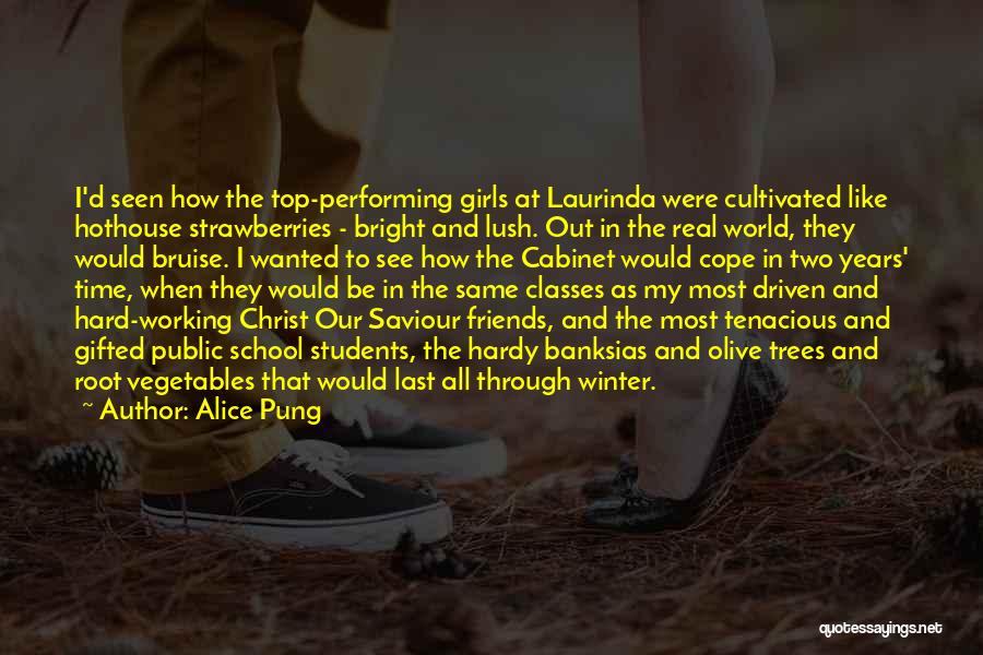 Classes In School Quotes By Alice Pung