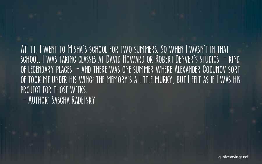 Classes In School Quotes By Sascha Radetsky