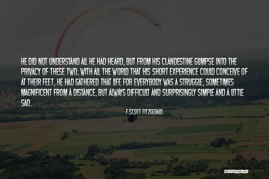 Classic Rake Quotes By F Scott Fitzgerald Classic Rake Quotes By F Scott Fitzgerald