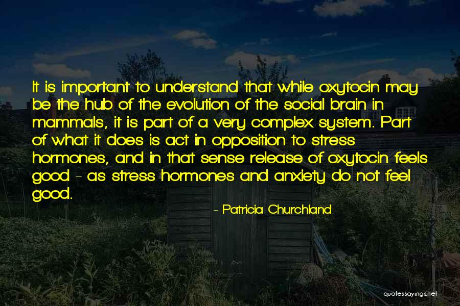 Classical Conversations Quotes By Patricia Churchland Classical Conversations Quotes By Patricia Churchland