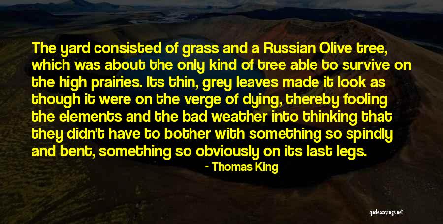 Classical Liberal Quotes By Thomas King Classical Liberal Quotes By Thomas King