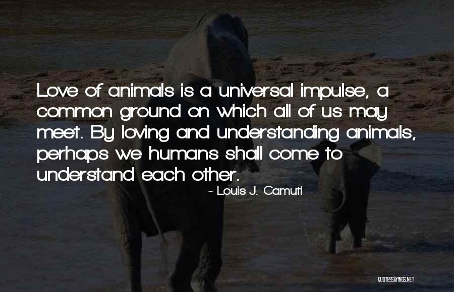 Classification Of Tools Quotes By Louis J. Camuti Classification Of Tools Quotes By Louis J. Camuti