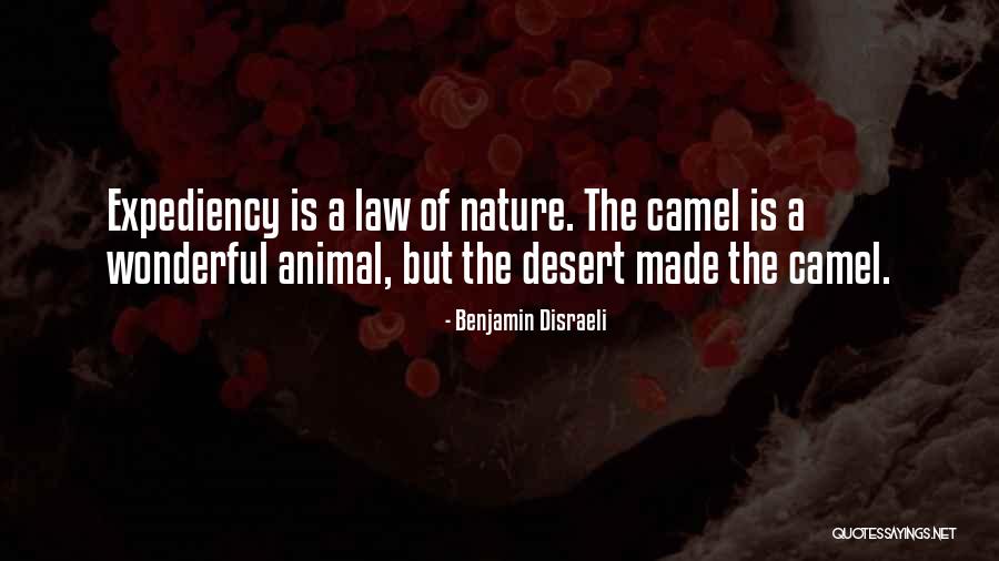 Classmates That Have Passed Away Quotes By Benjamin Disraeli Classmates That Have Passed Away Quotes By Benjamin Disraeli