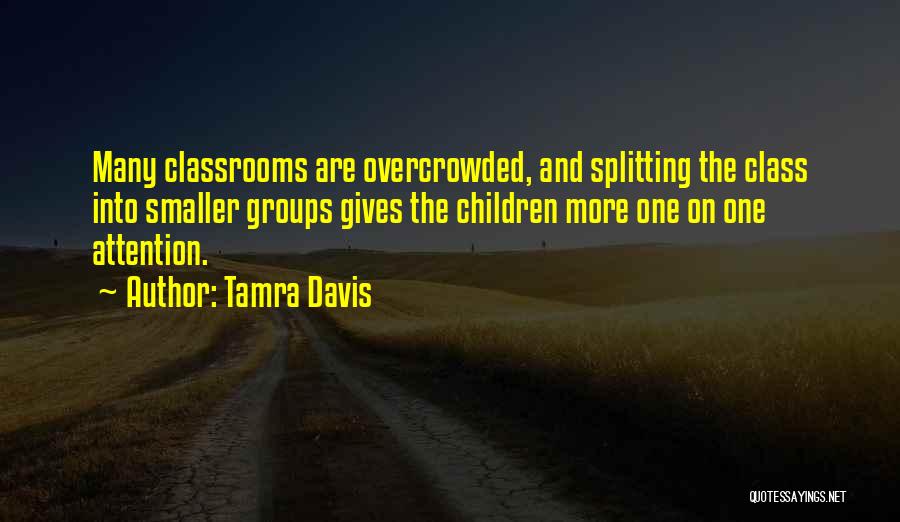 Classrooms Quotes By Tamra Davis