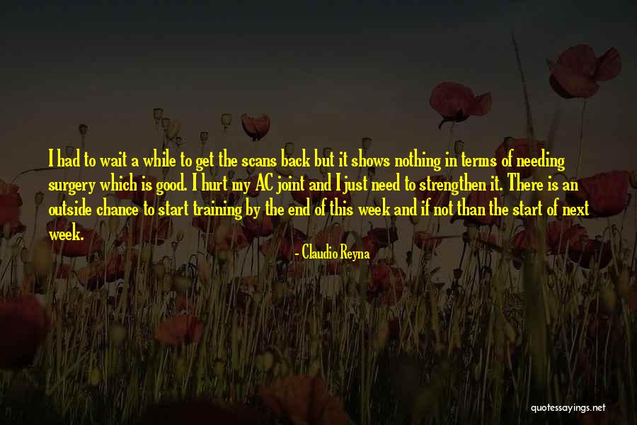 Claudio Reyna Quotes 2085735 Claudio Reyna Quotes 2085735