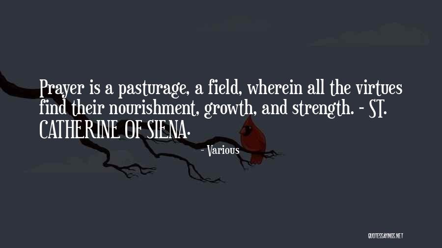Claustrophile Quotes By Various Claustrophile Quotes By Various