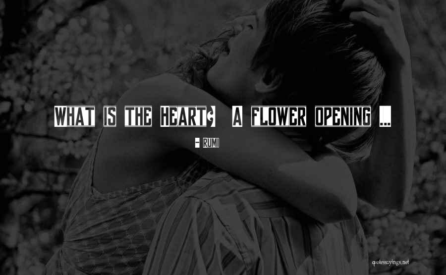 Clavelle Restaurant Quotes By Rumi Clavelle Restaurant Quotes By Rumi