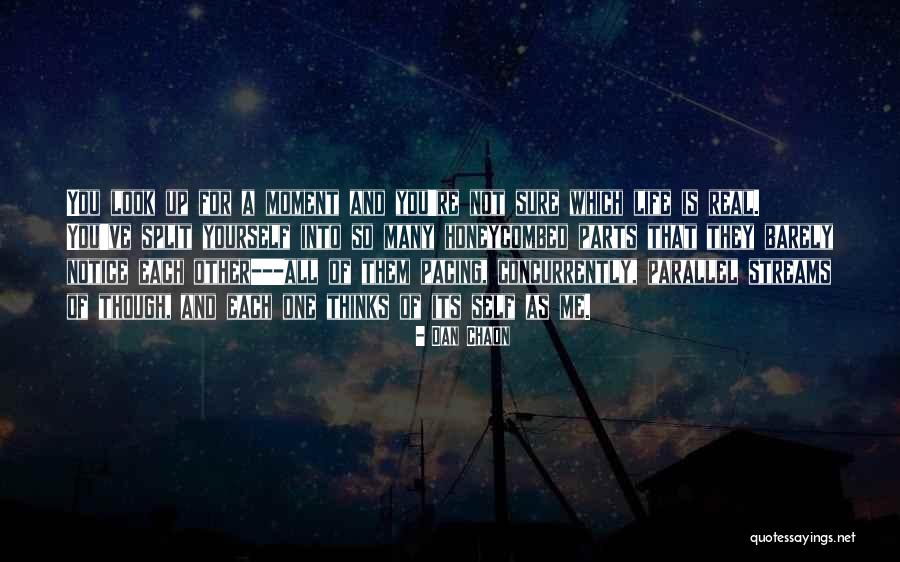 Claveria Technique Quotes By Dan Chaon Claveria Technique Quotes By Dan Chaon