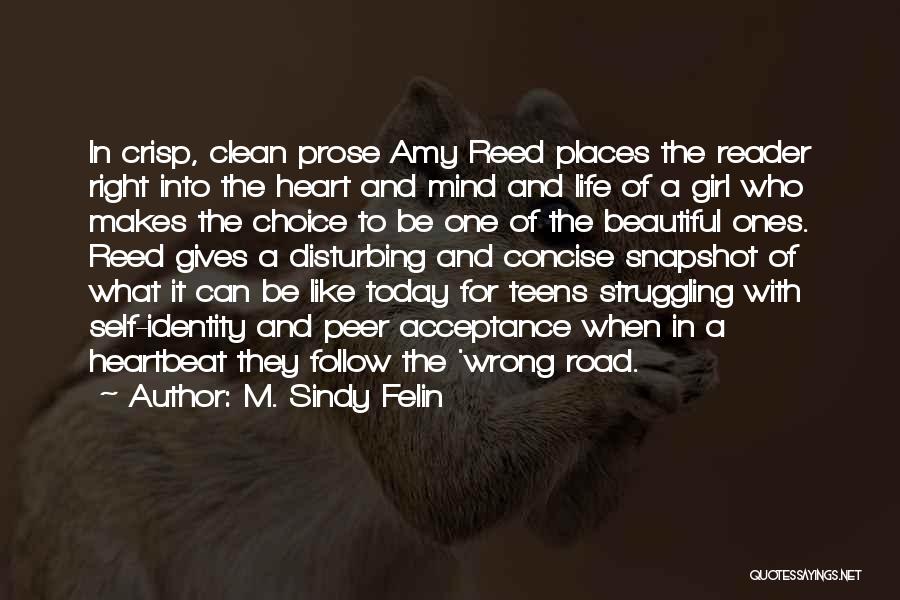 Clean Amy Reed Quotes By M. Sindy Felin