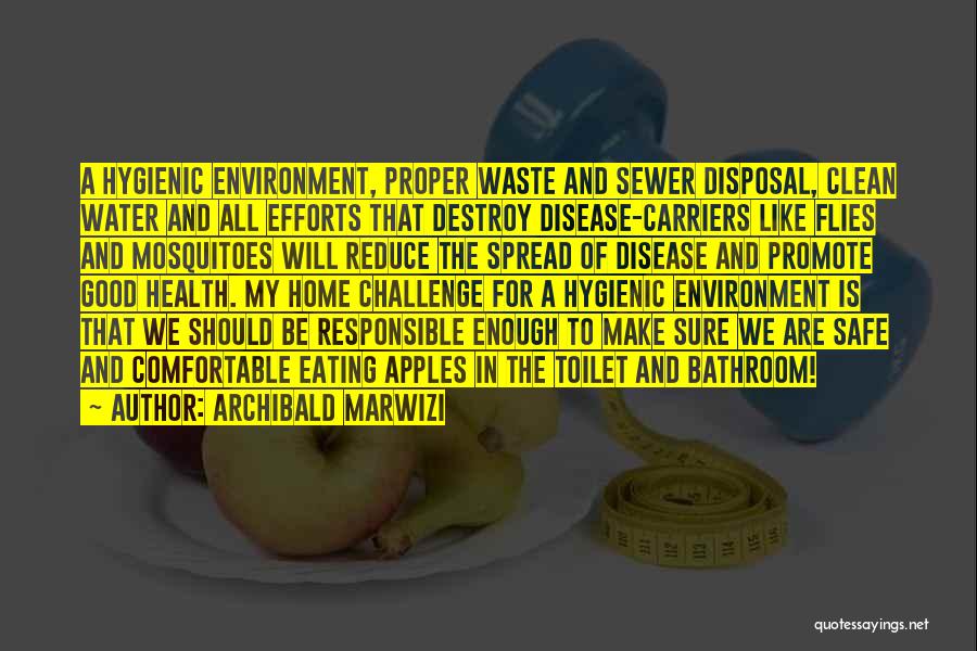 Clean Environment Quotes By Archibald Marwizi