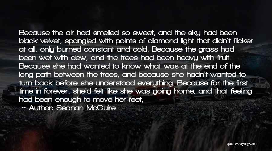 Clean Home Quotes By Seanan McGuire