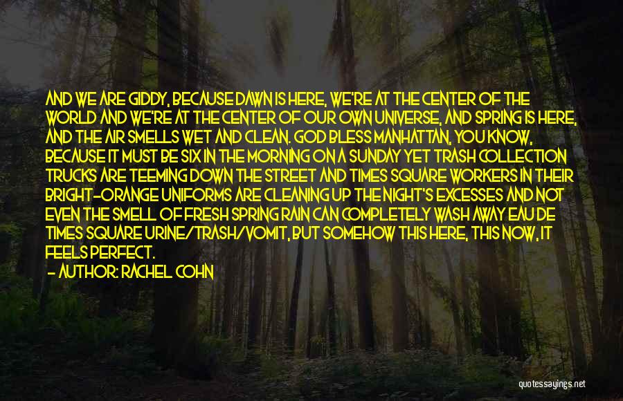 Clean It Up Quotes By Rachel Cohn