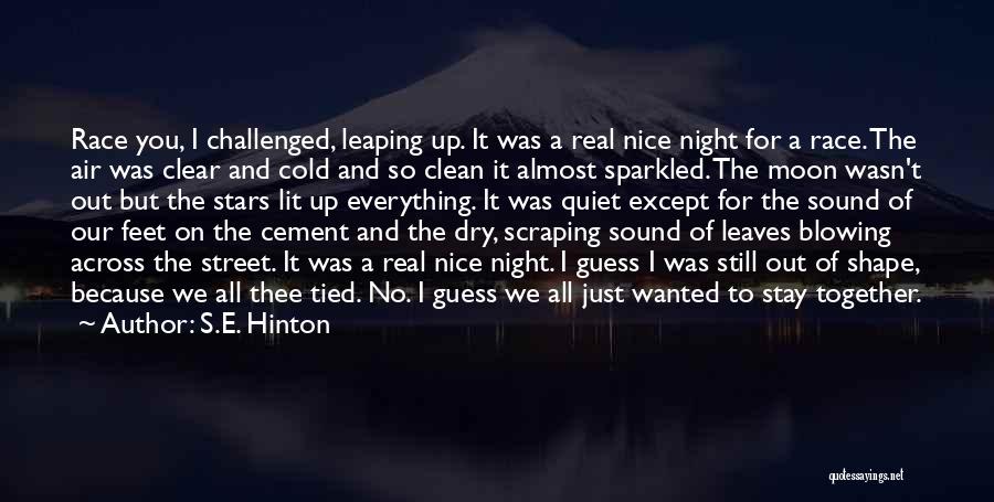 Clean It Up Quotes By S.E. Hinton