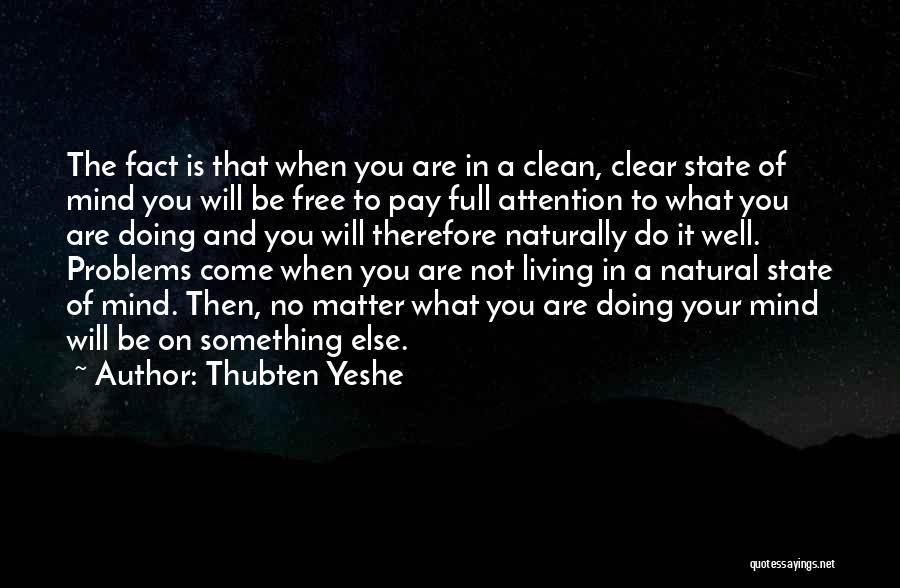 Clean Living Quotes By Thubten Yeshe