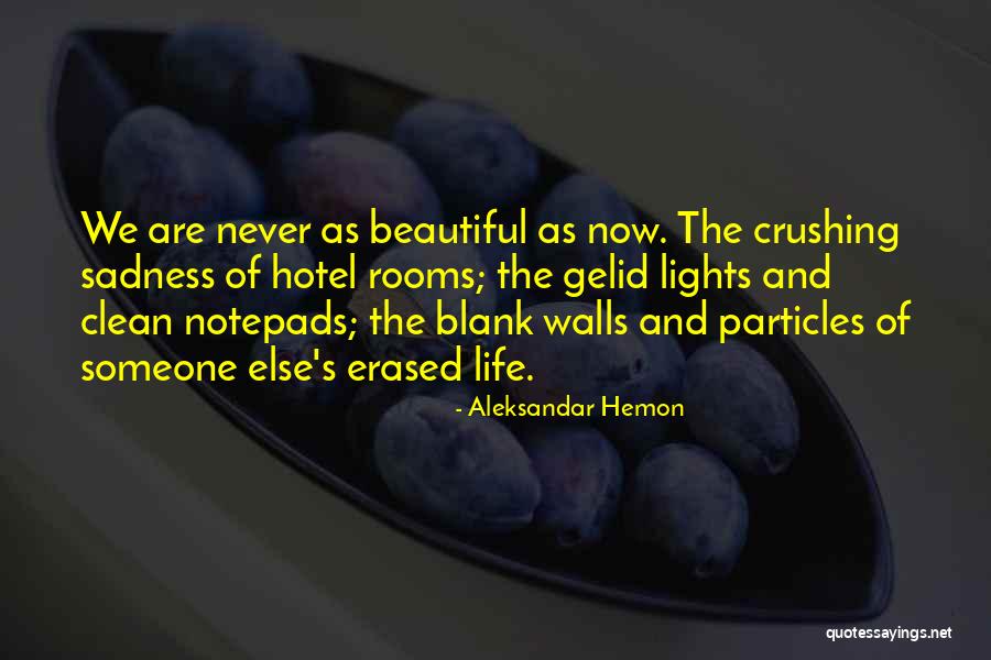 Clean Rooms Quotes By Aleksandar Hemon