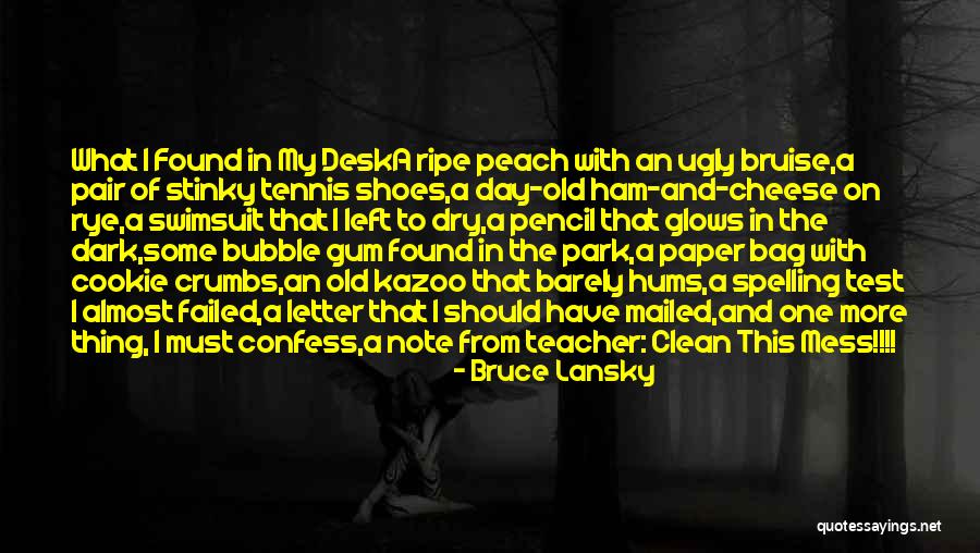 Clean Shoes Quotes By Bruce Lansky Clean Shoes Quotes By Bruce Lansky