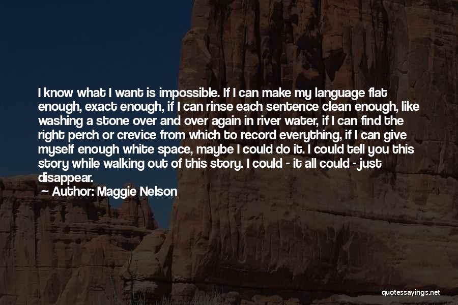 Clean Space Quotes By Maggie Nelson