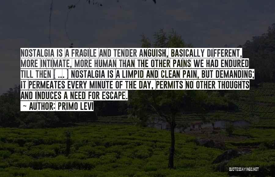 Clean Thoughts Quotes By Primo Levi