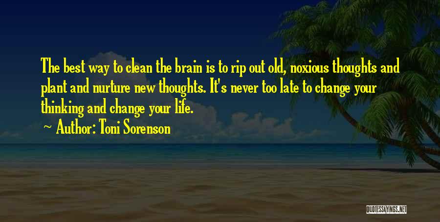 Clean Thoughts Quotes By Toni Sorenson