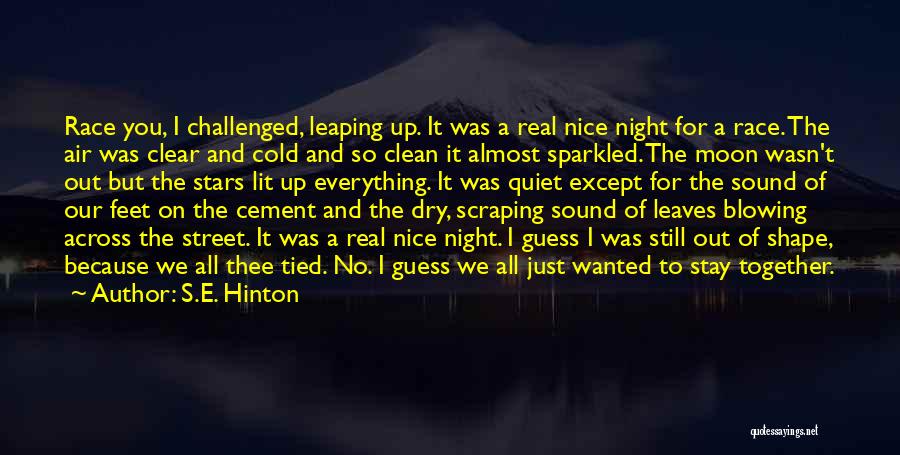 Clean Up Nice Quotes By S.E. Hinton