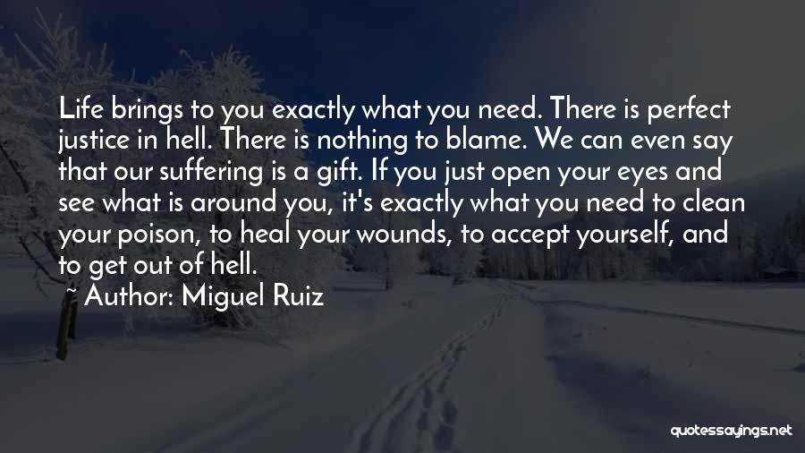 Clean Your Life Quotes By Miguel Ruiz