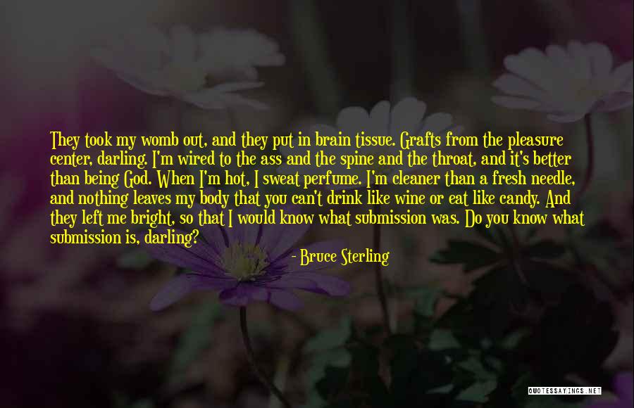 Cleaner Than Quotes By Bruce Sterling Cleaner Than Quotes By Bruce Sterling