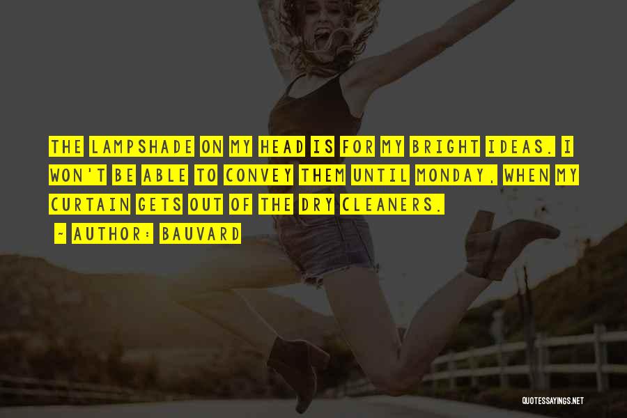 Cleaners Quotes By Bauvard