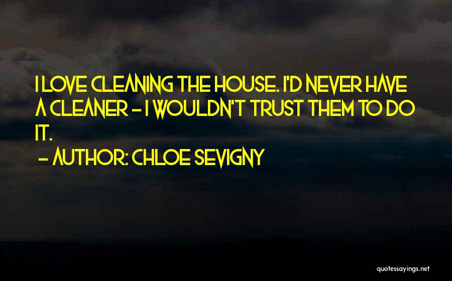 Cleaning House Quotes By Chloe Sevigny