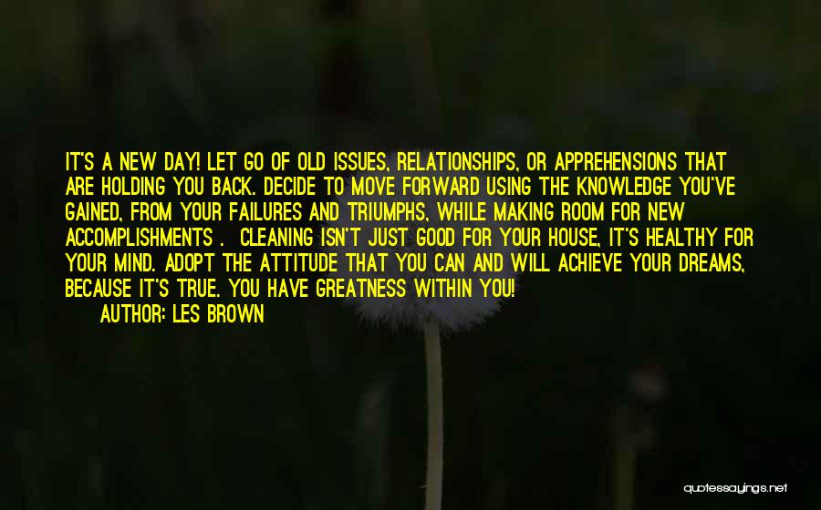 Cleaning House Quotes By Les Brown