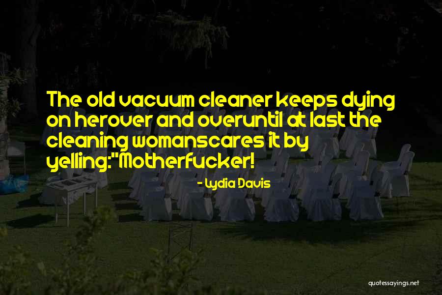 Cleaning Humor Quotes By Lydia Davis Cleaning Humor Quotes By Lydia Davis