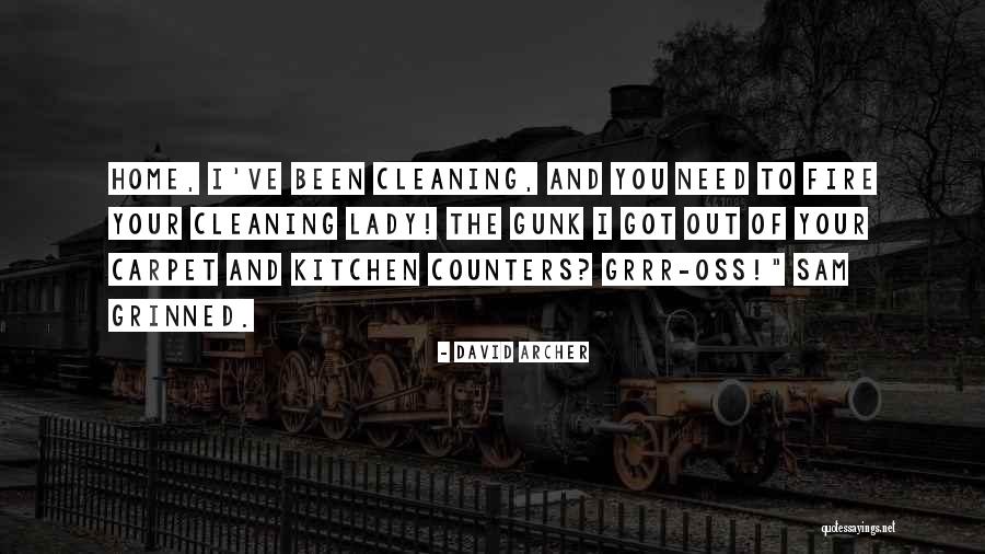 Cleaning Lady Quotes By David Archer Cleaning Lady Quotes By David Archer