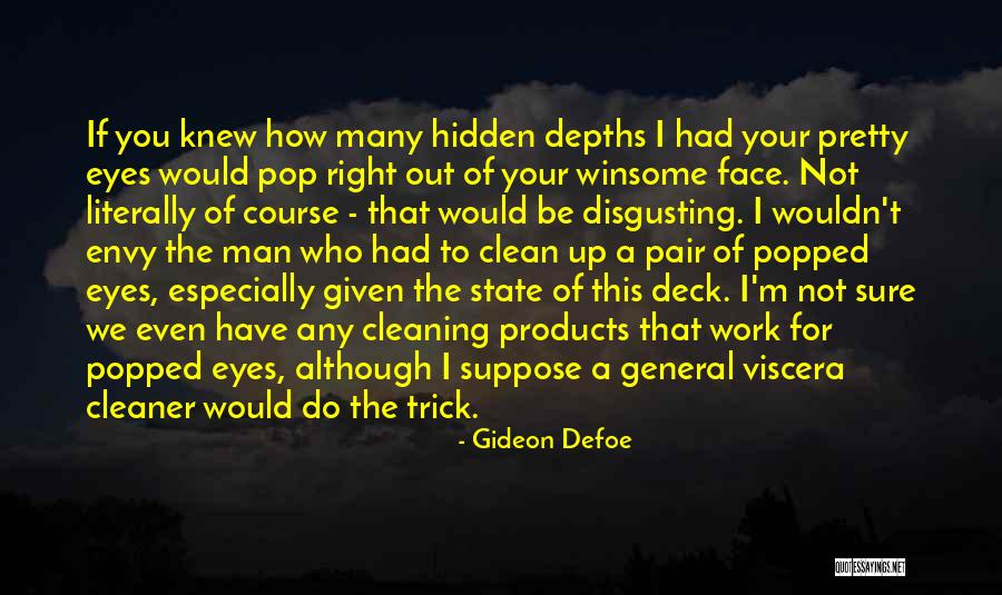 Cleaning Products Quotes By Gideon Defoe Cleaning Products Quotes By Gideon Defoe