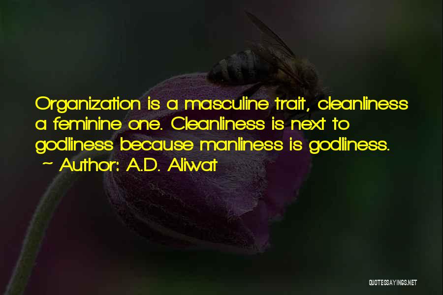 Cleaning Quotes By A.D. Aliwat