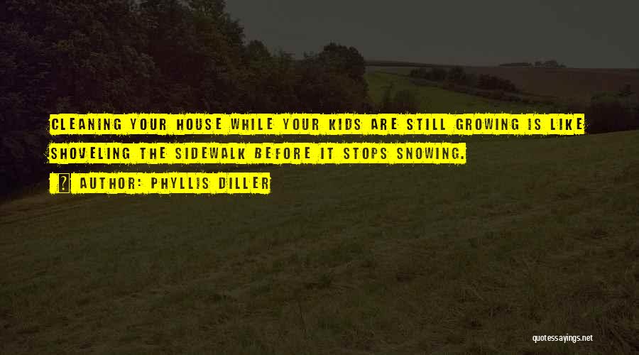 Cleaning Quotes By Phyllis Diller