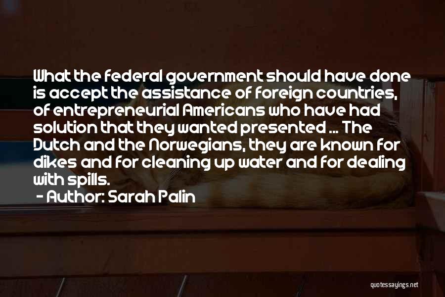 Cleaning Quotes By Sarah Palin