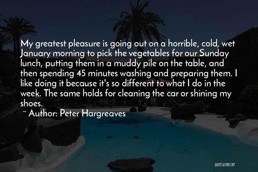 Cleaning Shoes Quotes By Peter Hargreaves