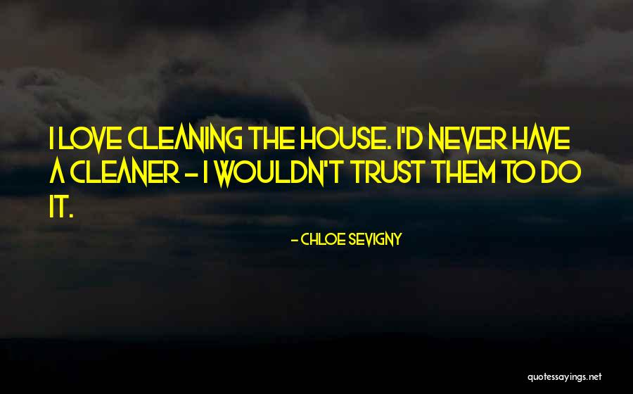 Cleaning The House Quotes By Chloe Sevigny