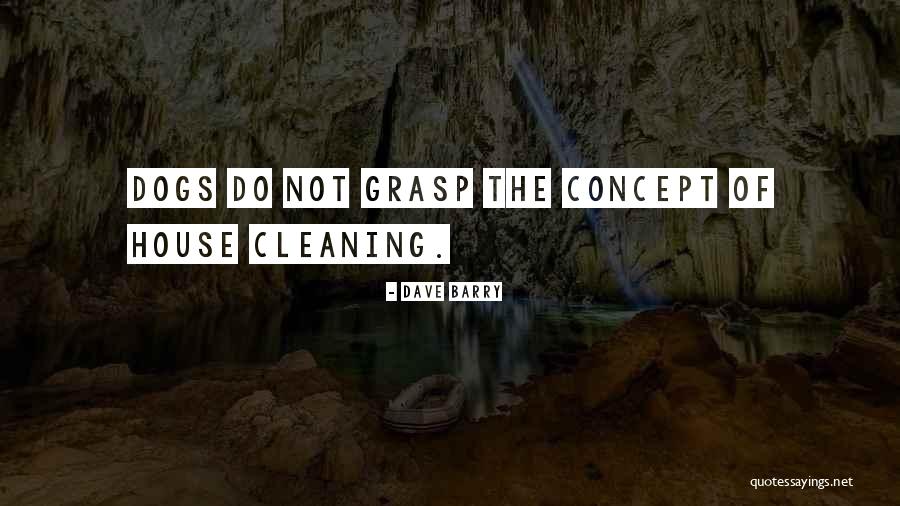 Cleaning The House Quotes By Dave Barry