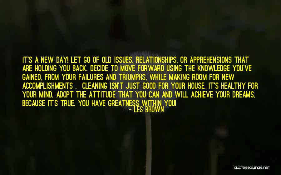 Cleaning The House Quotes By Les Brown Cleaning The House Quotes By Les Brown