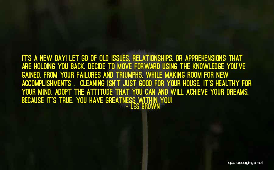 Cleaning The House Quotes By Les Brown