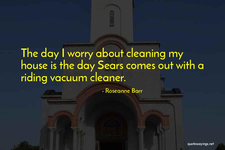 Cleaning The House Quotes By Roseanne Barr