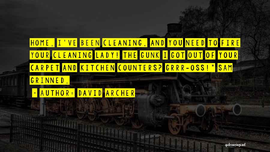 Cleaning The Kitchen Quotes By David Archer