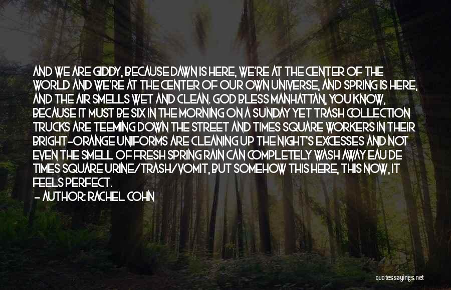 Cleaning Up Quotes By Rachel Cohn