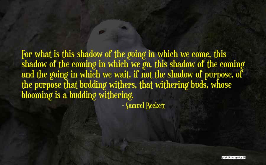 Cleanliest Quotes By Samuel Beckett Cleanliest Quotes By Samuel Beckett