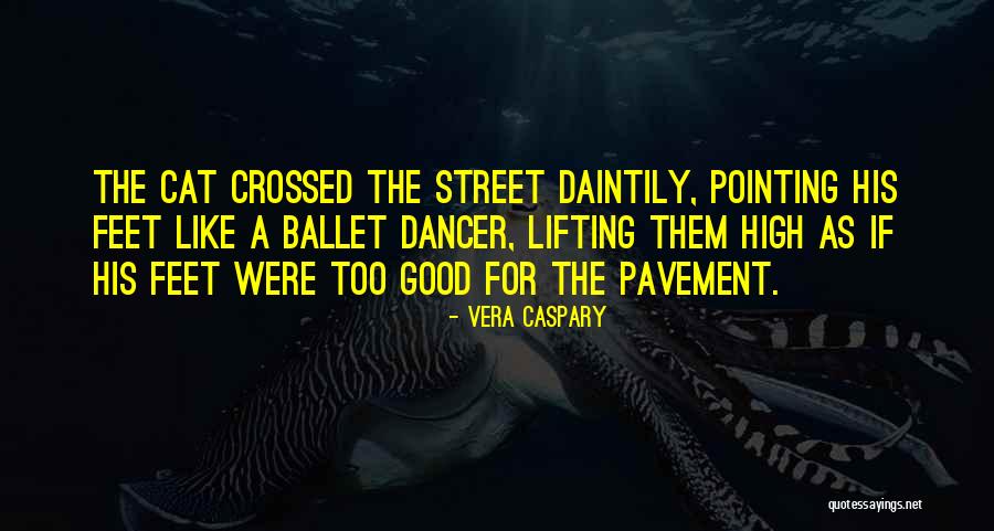 Cleanliest Quotes By Vera Caspary Cleanliest Quotes By Vera Caspary