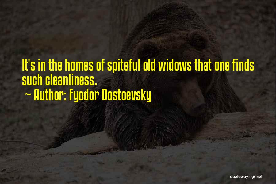 Cleanliness At Home Quotes By Fyodor Dostoevsky