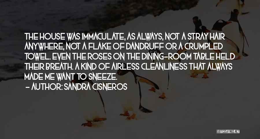 Cleanliness In The House Quotes By Sandra Cisneros