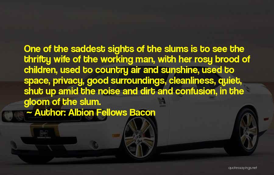 Cleanliness Of Surroundings Quotes By Albion Fellows Bacon