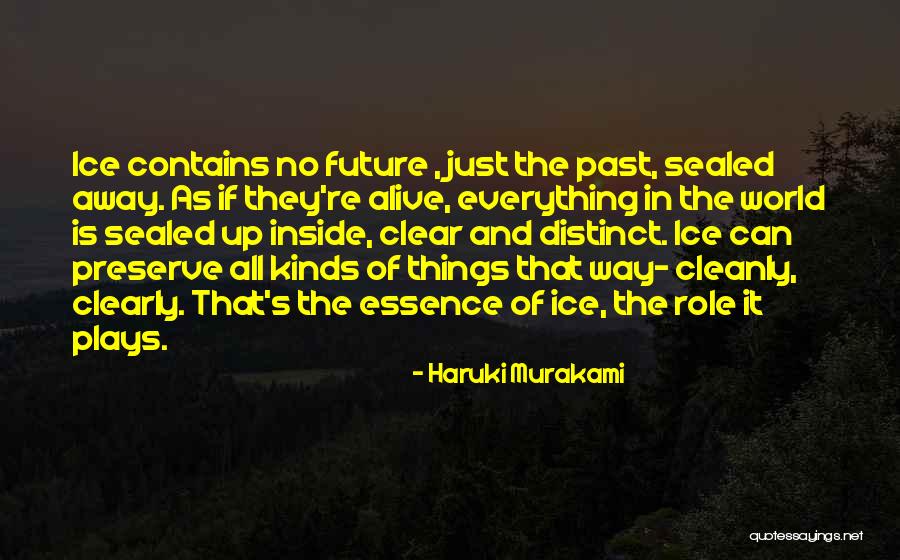 Cleanly Quotes By Haruki Murakami Cleanly Quotes By Haruki Murakami