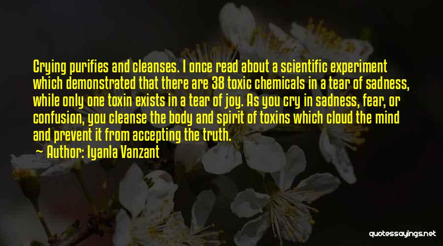 Cleanse Your Spirit Quotes By Iyanla Vanzant